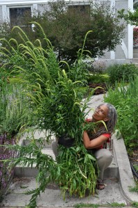 Reseda luteola (weld) gives a good yellow.