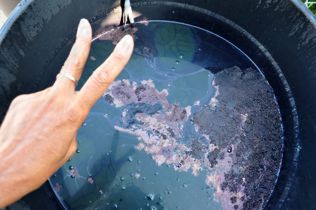 Death of an Indigo&nbsp;Vat